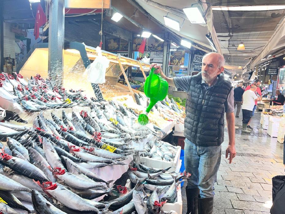 Bu Yıl Denizden Bereket: Palamut Tanesi 100 Lira ile Balıkçılıkta Zirvede