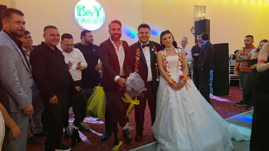 Adana'da Düğünlerde İlginç Hediye Gelişmesi: Gelin ve Damat Keçiyle Karşılandı