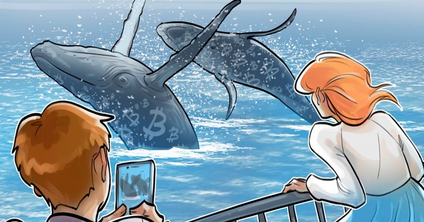 Bitcoin balinaları nedir ve onları nasıl tespit edebiliriz?