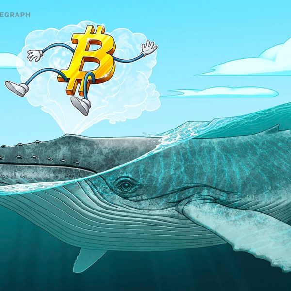 Bitcoin balinaları 67.000 dolarlık direnci izliyor