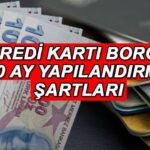 SORULAR VE KOŞULLAR KREDİ KARTI BORÇ YENİLEMESİ KASIM 2024 || 60 ay vadeli kredi kartı borcunun yeniden yapılandırılması başladı Taksitli ödeme nasıl yapılıyor Şartlar neler?