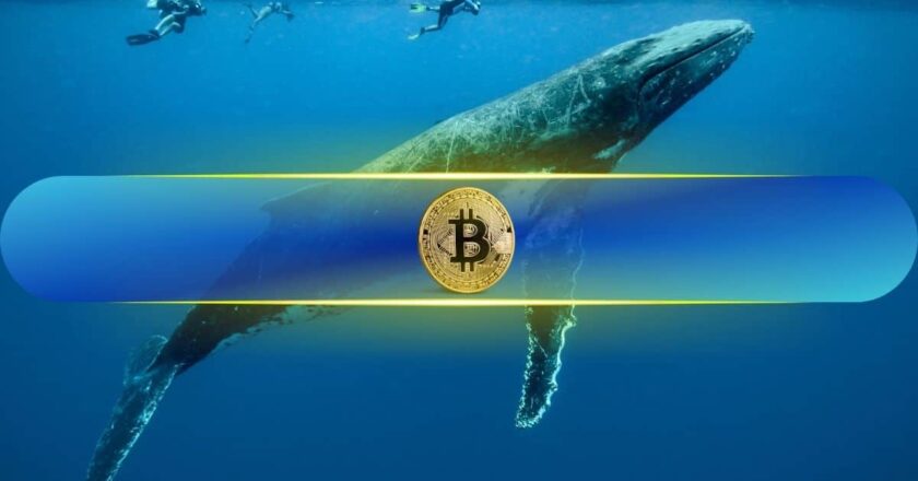 Büyük Bitcoin (BTC) Balinaları Artarken Küçük Yatırımcılar Kayboluyor