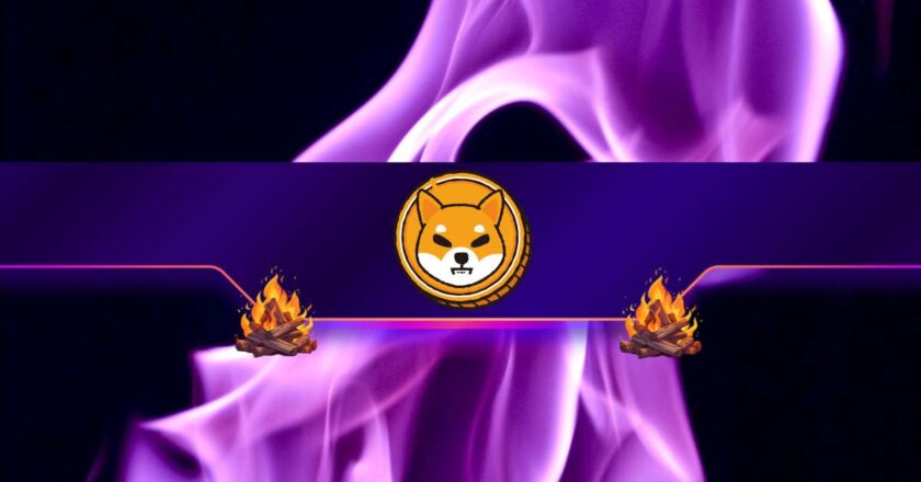 Kasım Ayında Ne Kadar Shiba Inu (SHIB) Token’ı İmha Edildi?